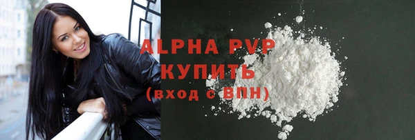 гидра Краснослободск