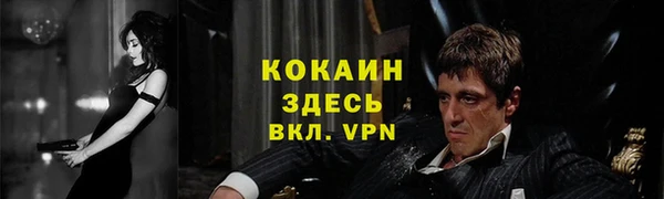 гидра Краснослободск