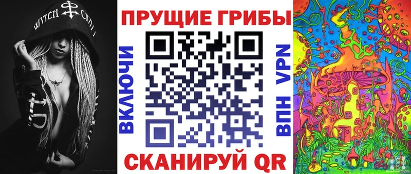 Псилоцибиновые грибы Psilocybine cubensis  Купить  Рузаевка 